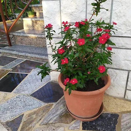 Samodol * Vodice